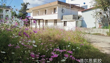 公司简介