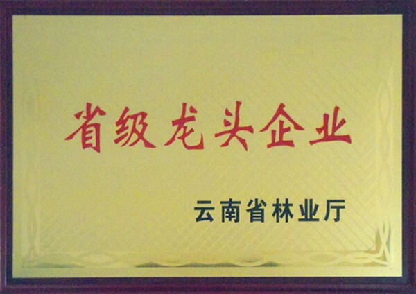 省级龙头企业