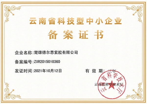 云南省科技型中小企业备案证书