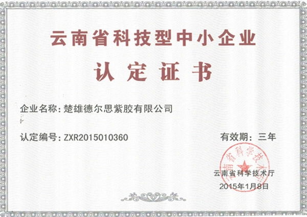 云南省科技型中小企业认定证书