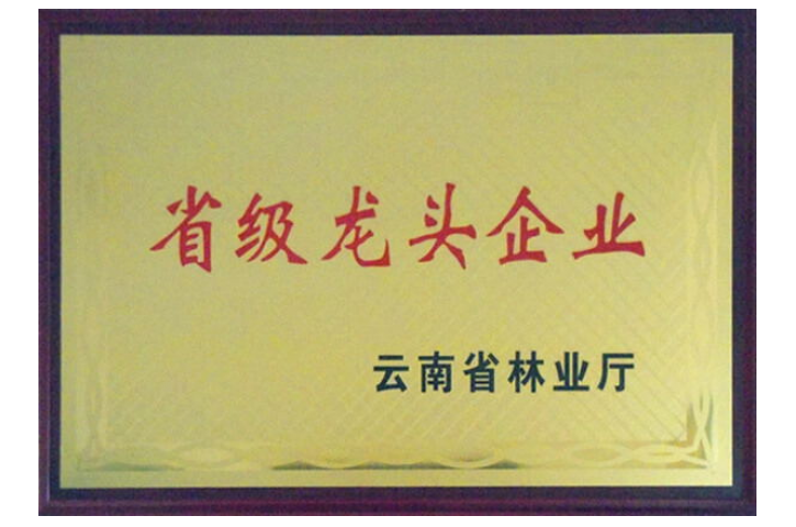 Provincial leading enterprise