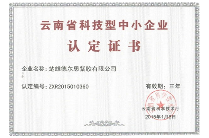 Certificate of Recognition for Technology-based Small and Medium-sized Enterprises in Yunnan Province